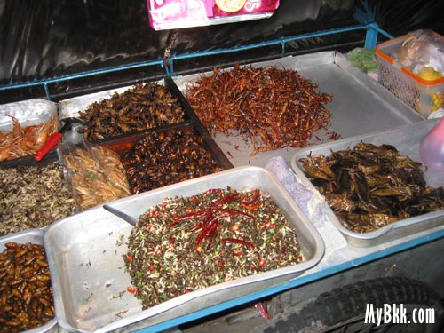 Fried Insects Bangkok