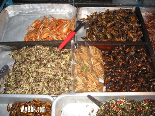 Fried Bugs Bangkok