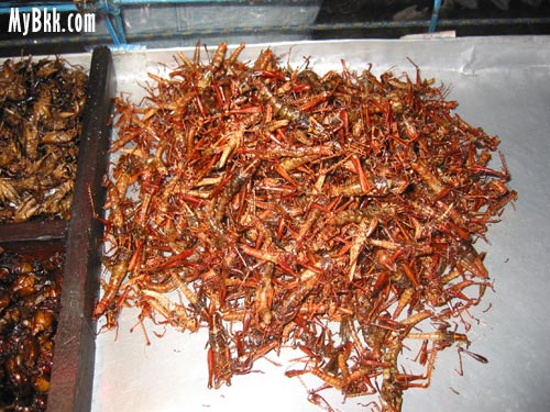 Fried Insects Bangkok