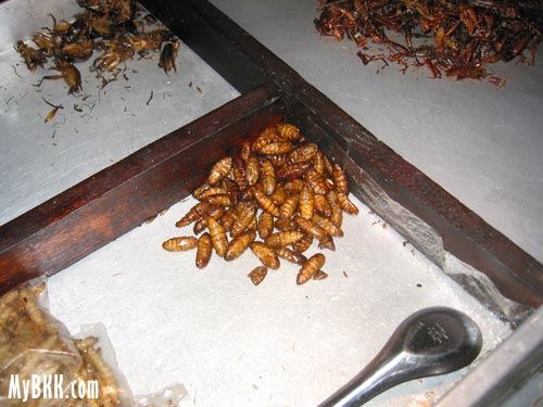 Fried silkworm and bamboo worm