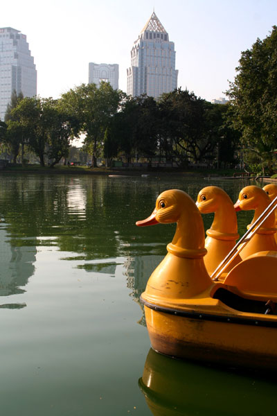 Duck boats, Lumphini Park, Bangkok.